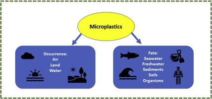 Graphical abstract