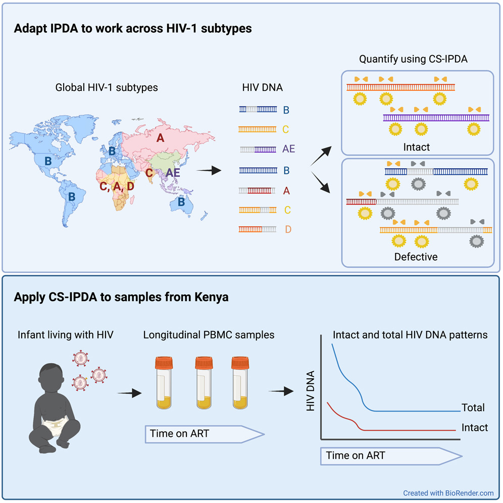 Graphical abstract Graphical abstract