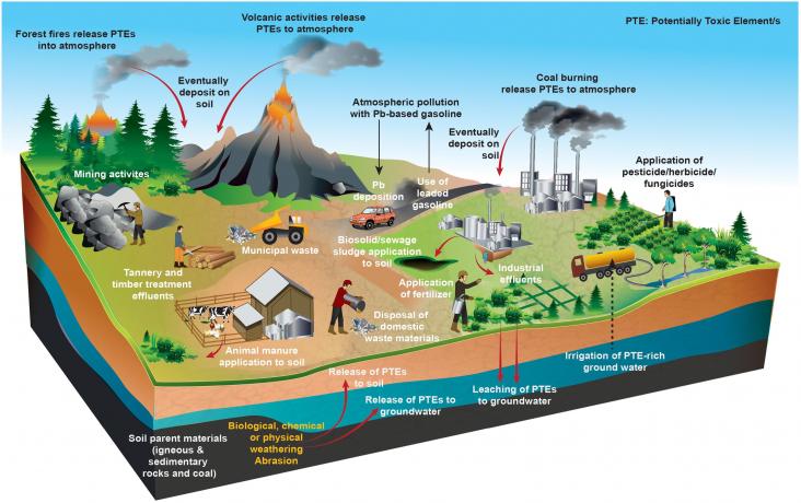 Potentially toxic element (PTE) sources in soil ecosystems.