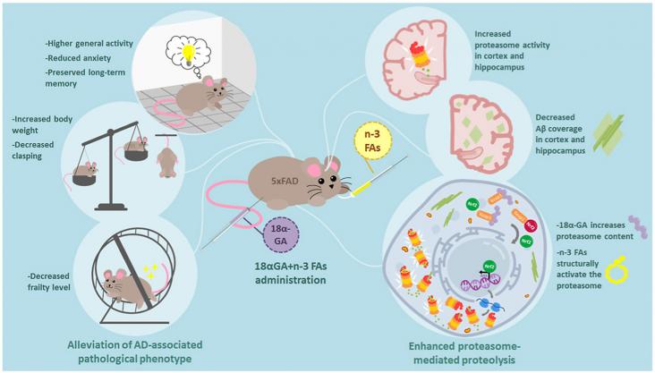 Graphical abstract