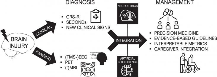 Multimodal management of brain-injured patients. The combination of reliable clinical assessments and multimodal measures of brain activity allow the realization of an accurate diagnosis of consciousness.
