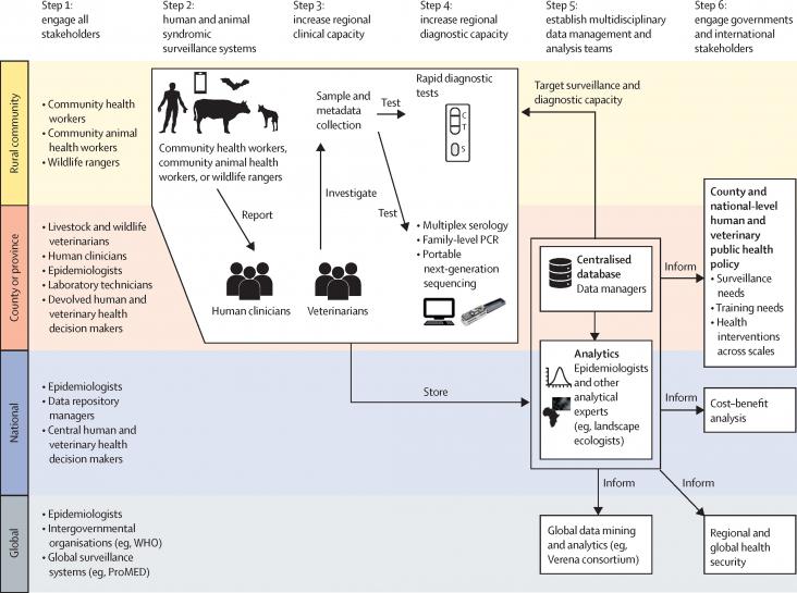 Framework for strengthening zoonotic disease surveillance in remote rural areas that would facilitate integration into existing surveillance systems