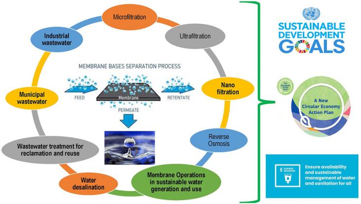 Graphical abstract
