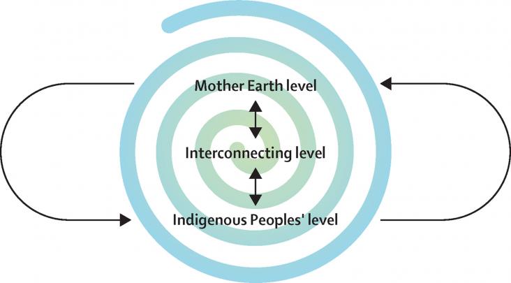 The interconnectedness of the determinants of planetary health