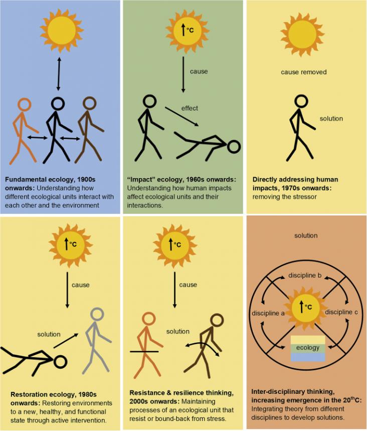 A Brief Evolution of Solution Science in Ecology