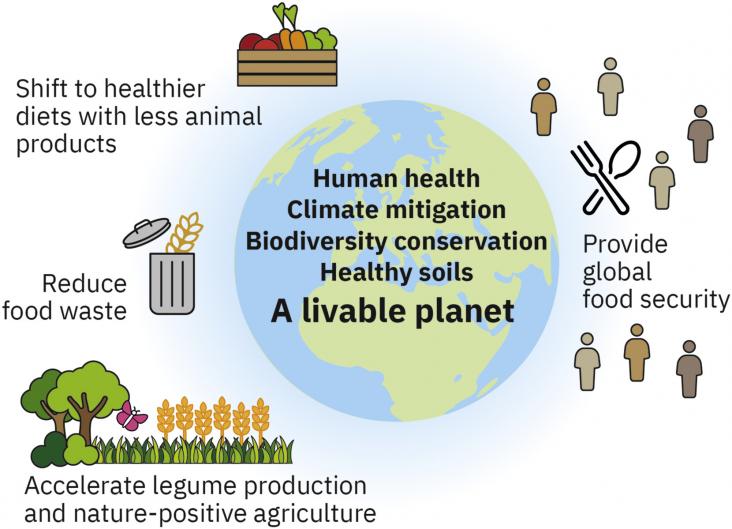 Three key levers to address food insecurity today while also ensuring human health and long-term sustainable development