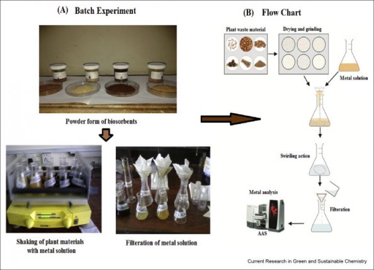 Figure showing the stepwise procedure for the preparation of bi-sorbents and removal of heavy metals from water. Figure showing the stepwise procedure for the preparation of bi-sorbents and removal of heavy metals from water.