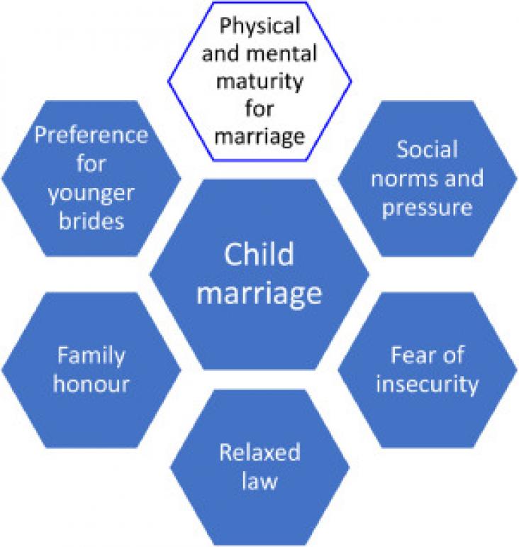Factors influencing child marriage. All the factors except “physical and mental maturity for marriage” promote child marriage