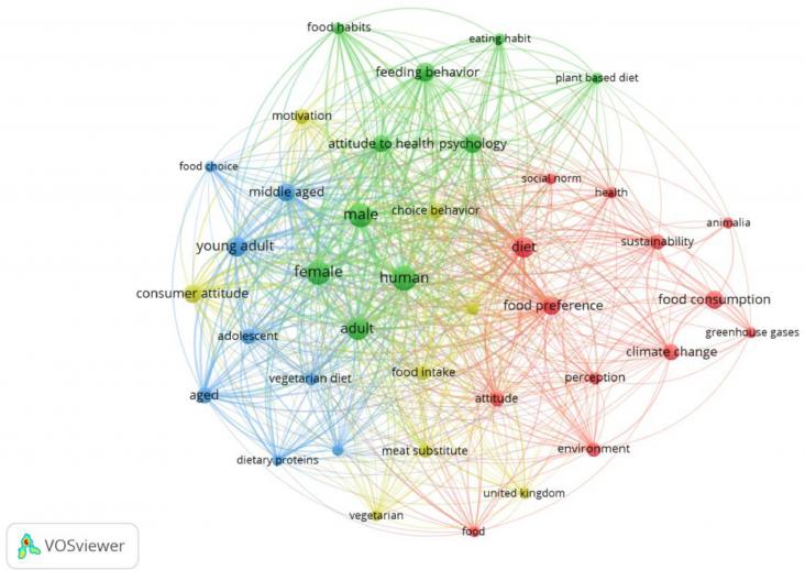Keyword co-occurrence. Note: Created with the support of VOSviewer software. The size of the circles shows the frequency of occurrence of the keywords, while the lines show the links between the words.