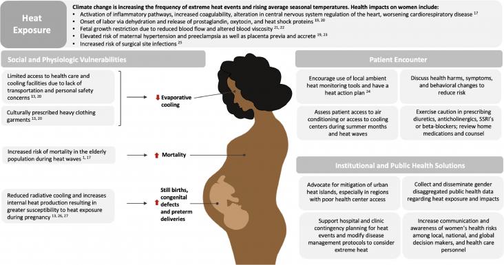 Women's health vulnerabilities to heat exposure and clinical, institutional, and public health solutions.