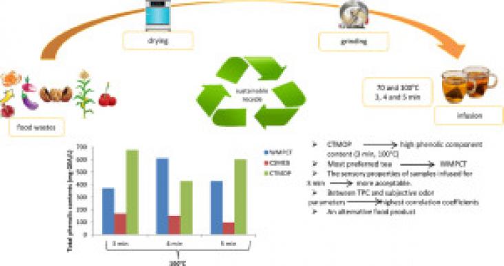 Graphical abstract Graphical abstract