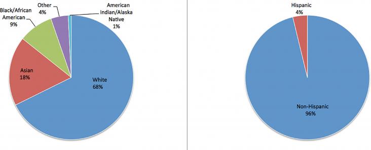 Proportion of academic urologic leadership by race and ethnicity