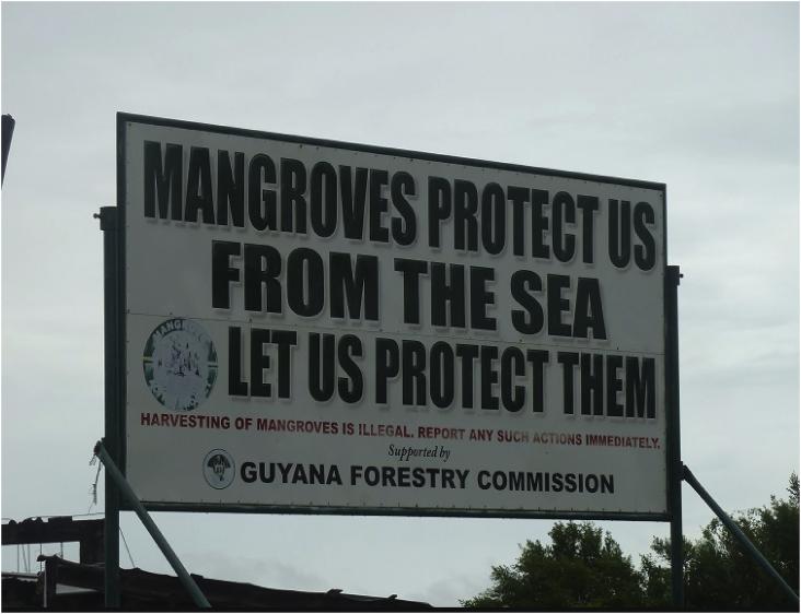 Example signage in Guyana showing the government's effort to inform the public about the protection benefits provided by mangroves against storm surge (photo credit: Carinya Sharples/Mongabay; used with permission).