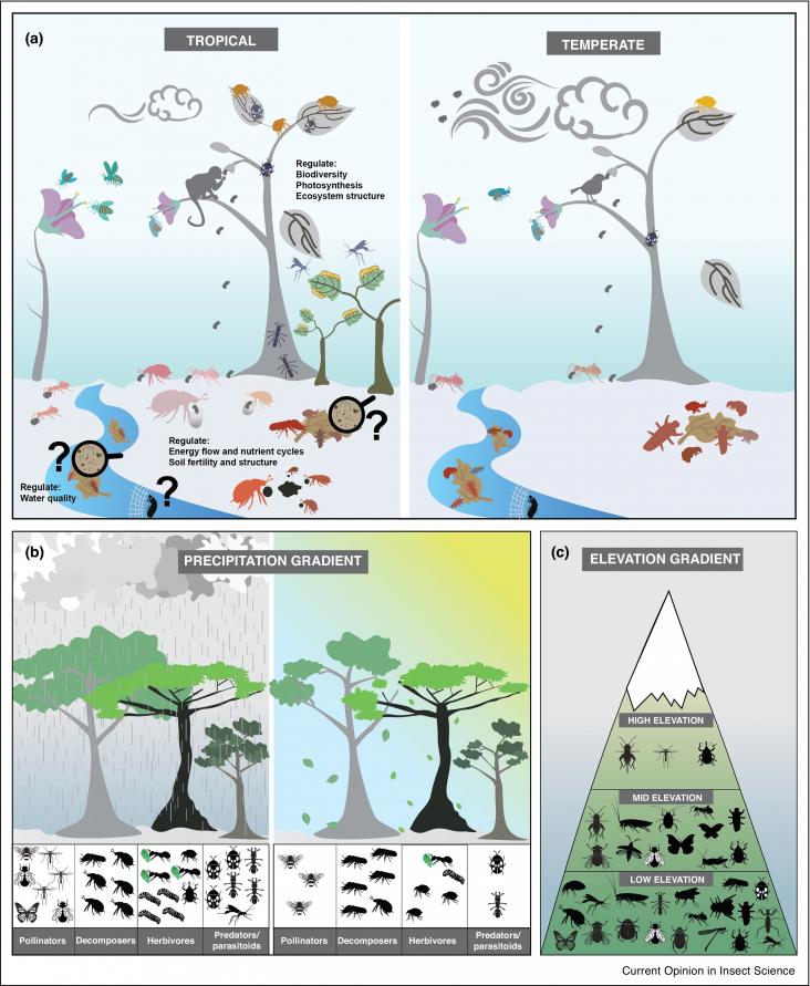 Ecosystem services provided by insects in natural systems.