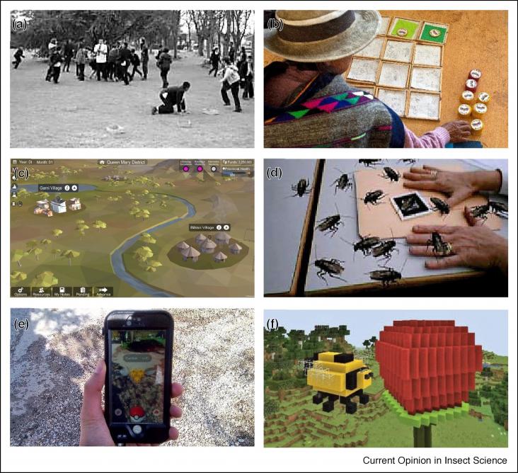 Examples of insect-related games and game-related inspirations