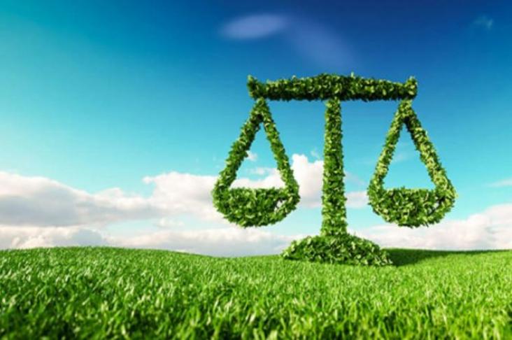 Environmental Law Scale of law made of plants