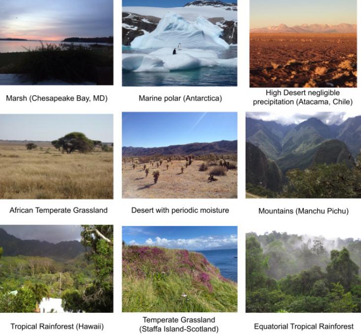 Examples of different ecosystems