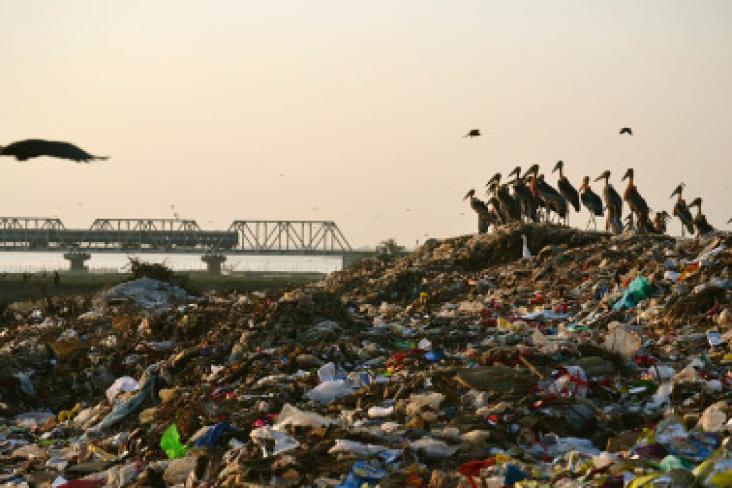 Scavengers at Boragaon dumpsite, Guwahati Assam, India.