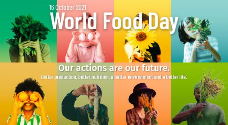© FAO 2021