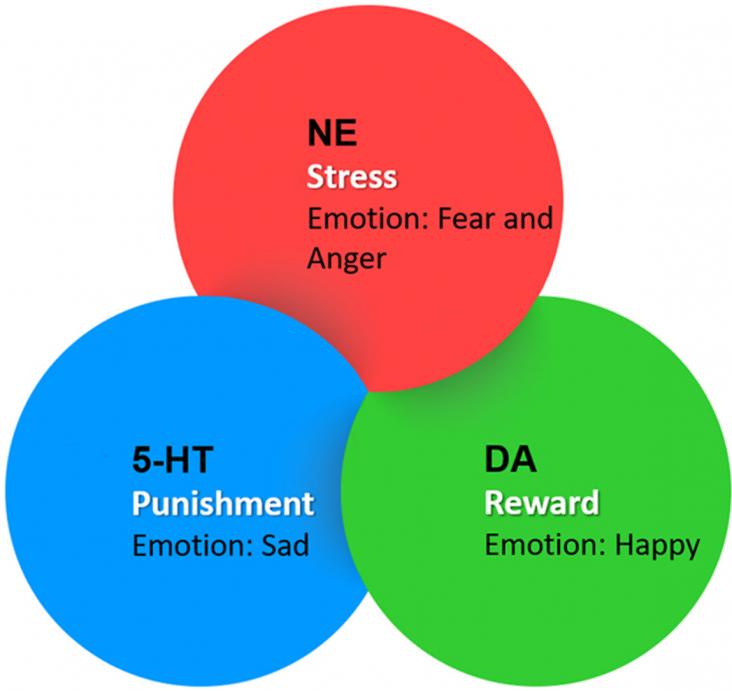 Graphical abstract of article