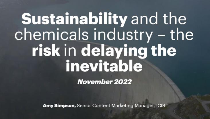 Sustainability and the chemicals industry - the risk in delaying the inevitable Water dam