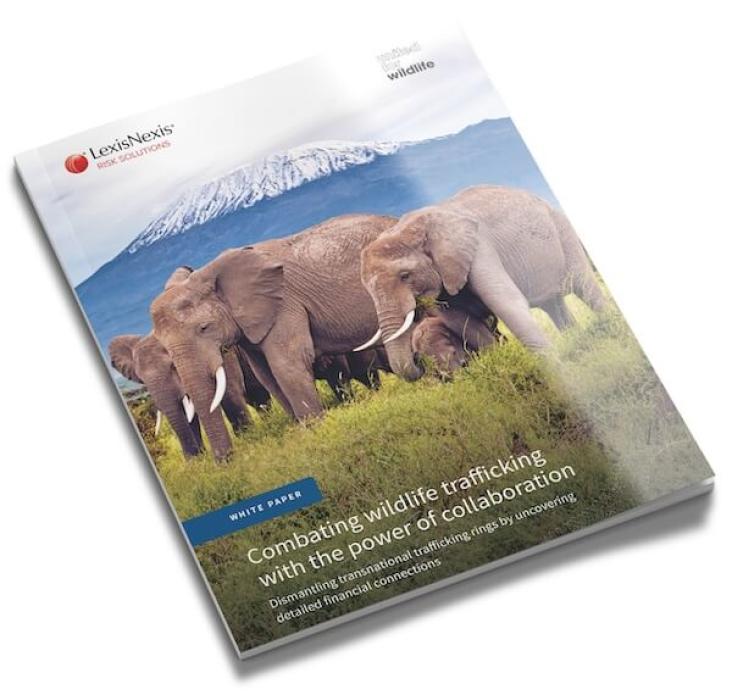An image of the front cover of the white paper report featuring an African Elephant