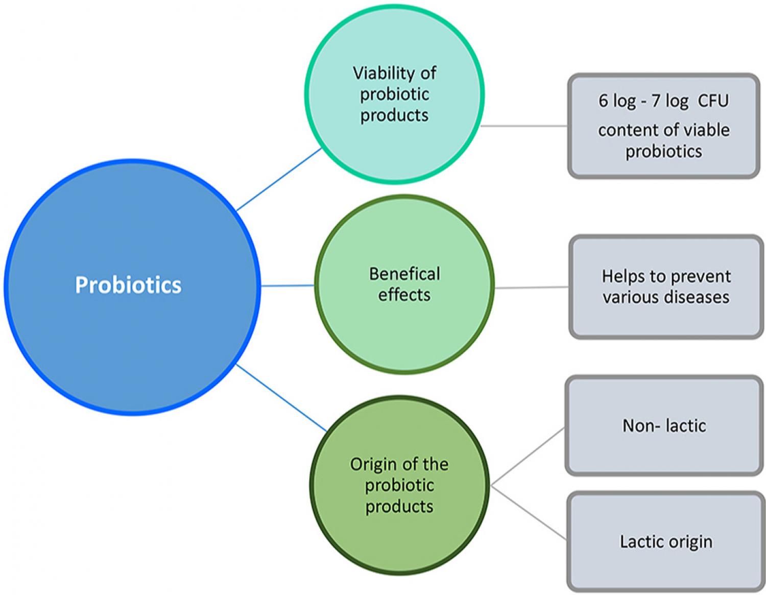 Graphical abstract of article Graphical abstract of article