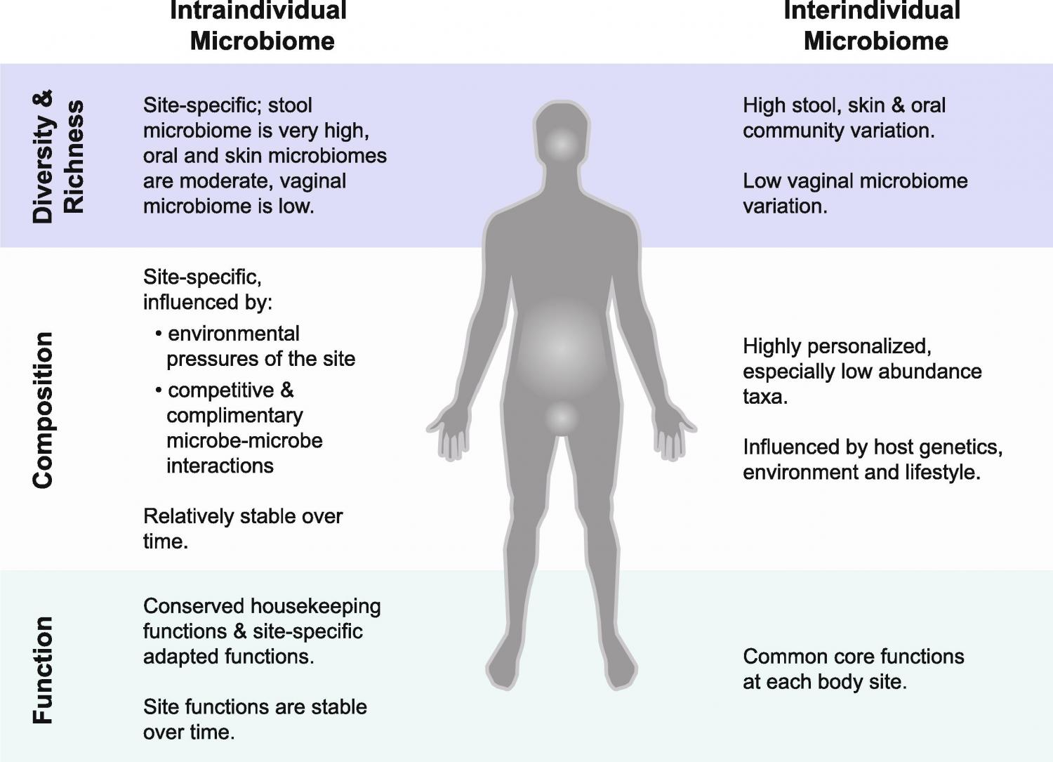 ntraindividual and interindividual differences in microbiome diversity and richness, composition and function.