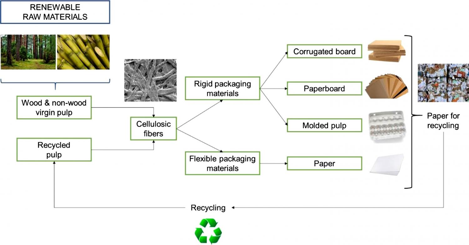 Schematic overview of cellulosic fiber-based packaging materials.