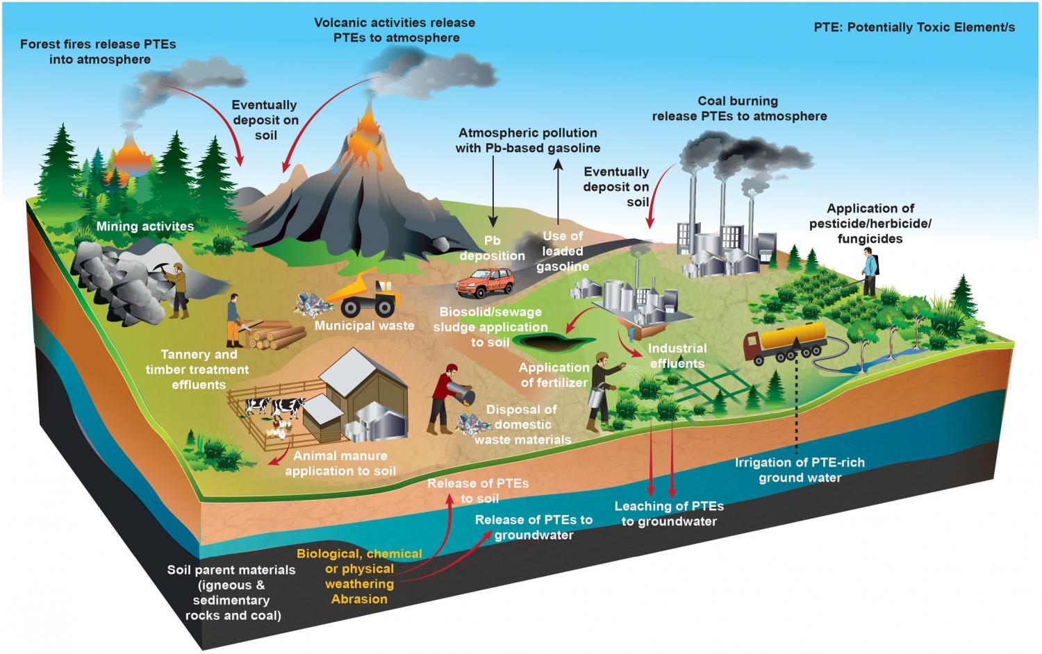 Potentially toxic element (PTE) sources in soil ecosystems.