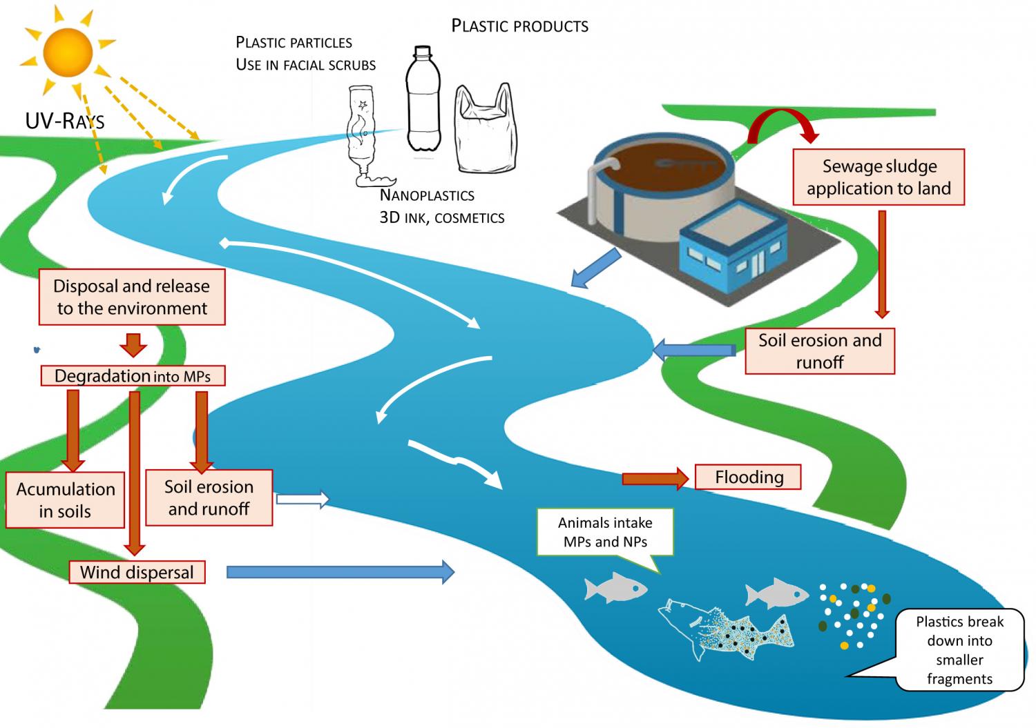 Conceptual map of the source, transport, and fate of microplastics and nanoplastics.
