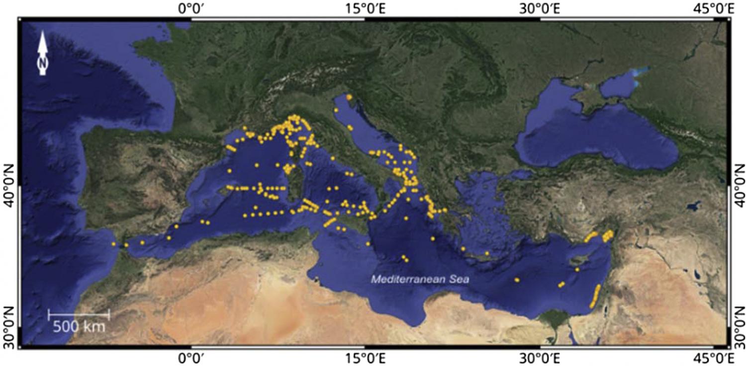Map of the Mediterranean Sea showing the location of literature sampling stations.