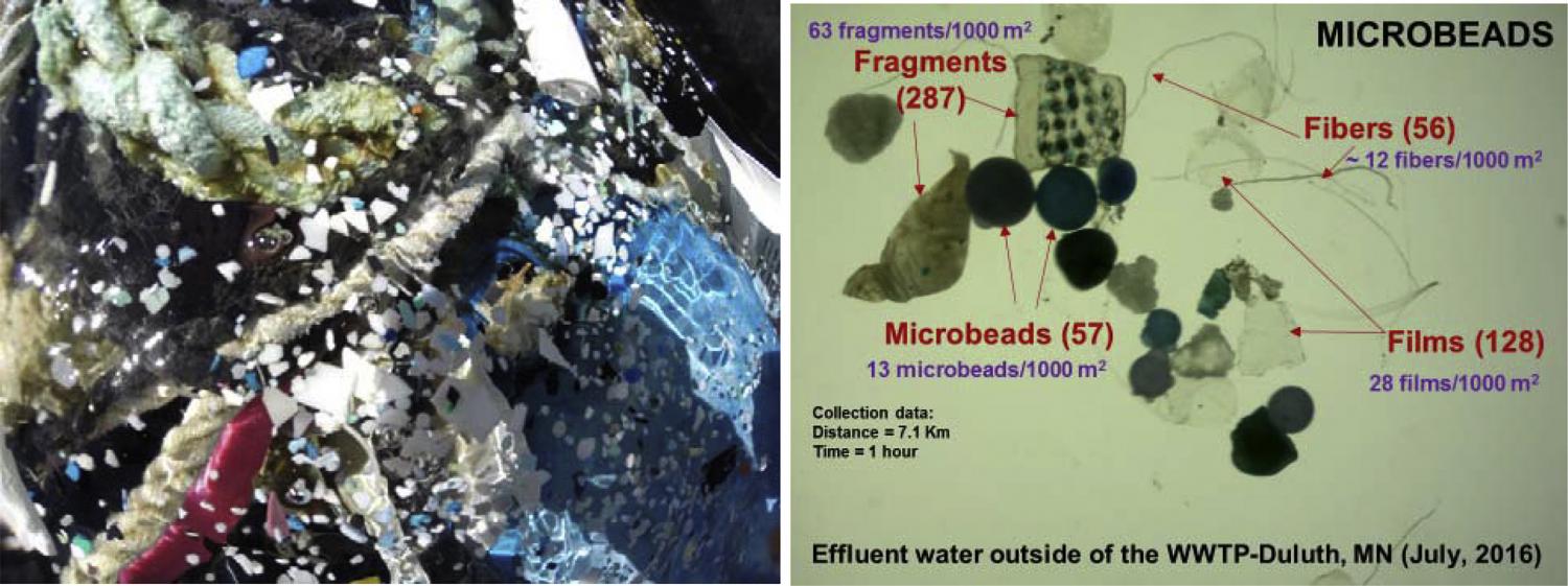 Macro and microplastics from a) Pacific Ocean from the area known as “eastern garbage patch” and b) River (St. Louis River Estuary, USA).