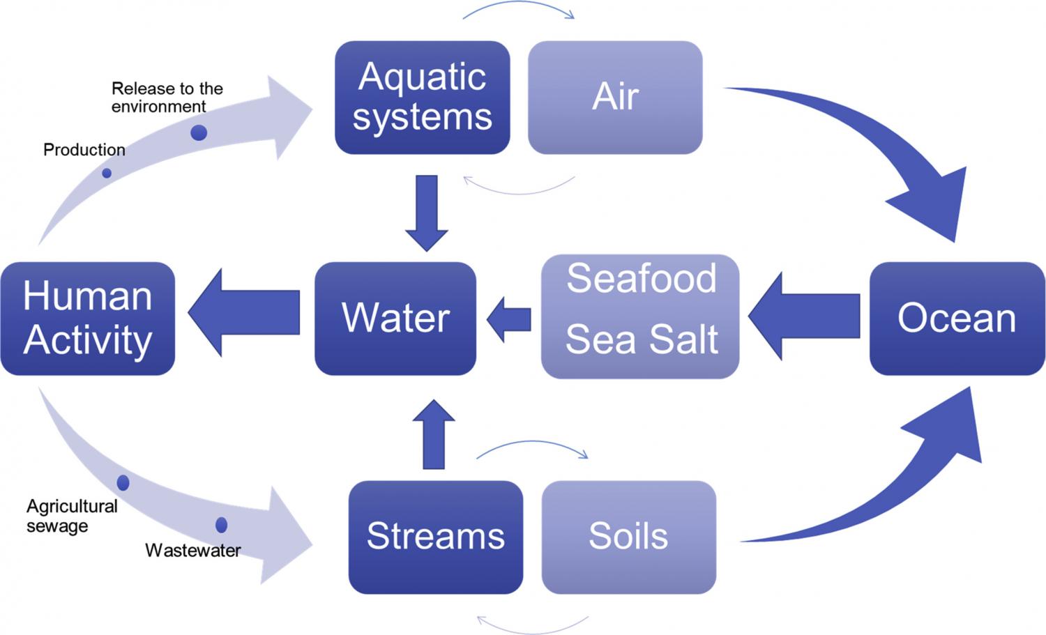 Schematic representation of micro(nano)plastics circulation in the environment.