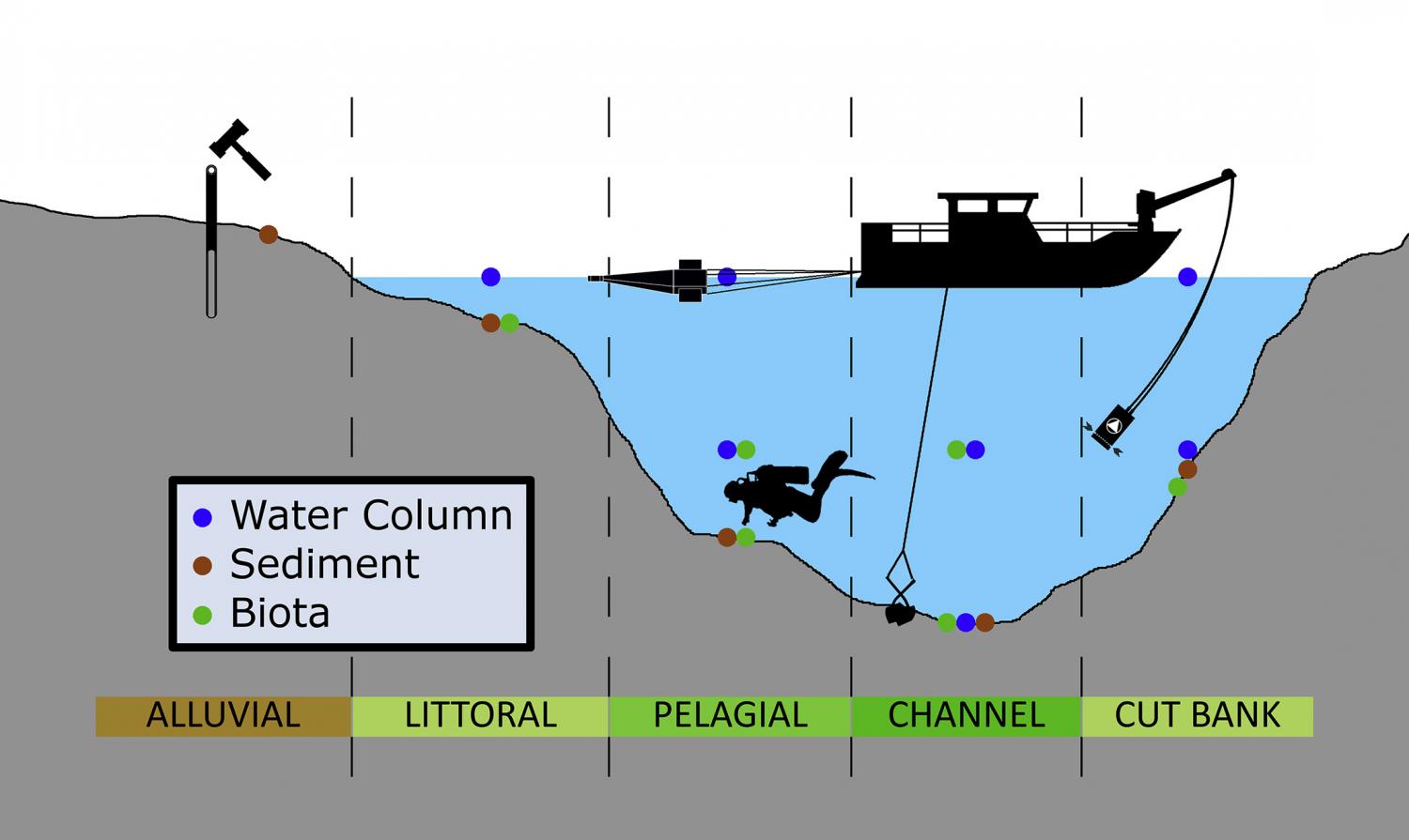 Different sampling locations are represented in the aquatic environment. Water samples can be retrieved with nets such as manta trawls, filter cascades, continuous-flow centrifuges, sediments with corers, graspers, and shovels or from divers, and biota
