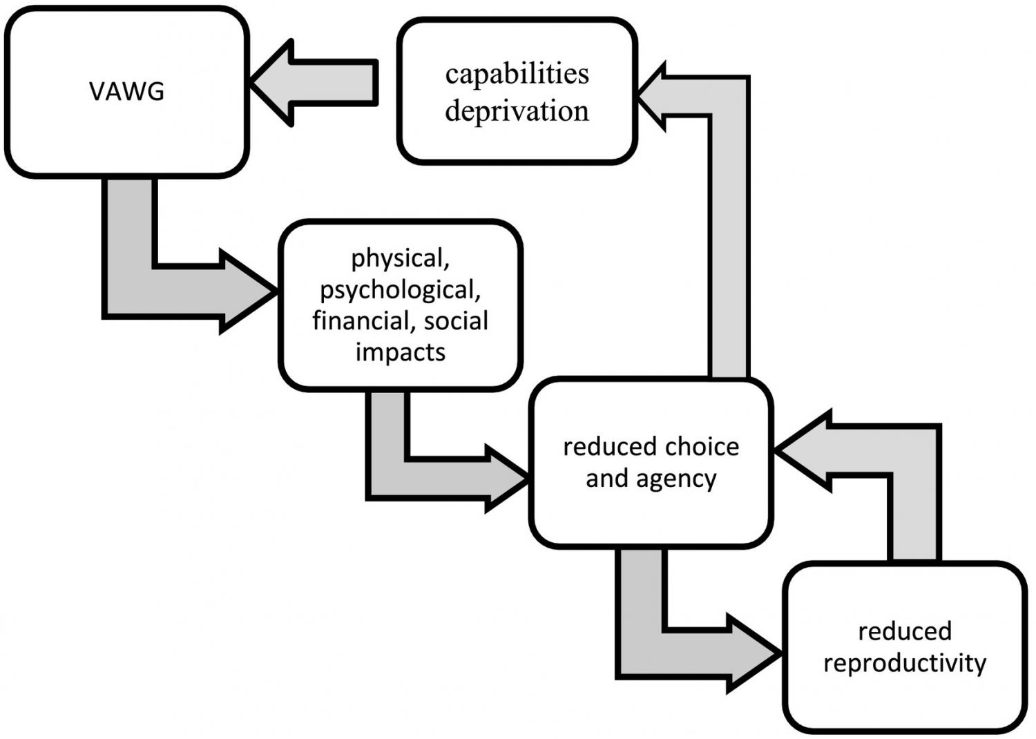 Conceptual frame outlining the pathway of impacts of VAWG and reproductivity.