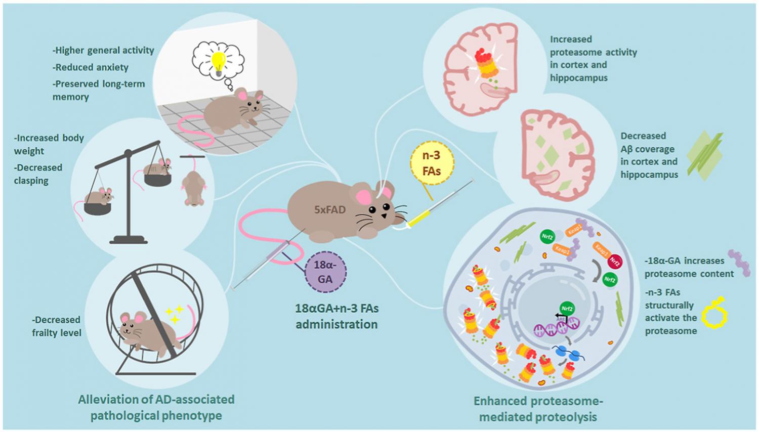 Graphical abstract Graphical abstract