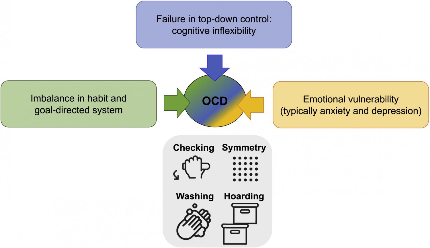 Dimensions and Subtypes of OCD