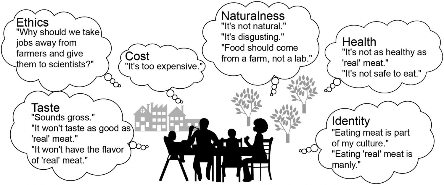Overview of common consumer perceptions posing barriers to the potential uptake of cultured meats.