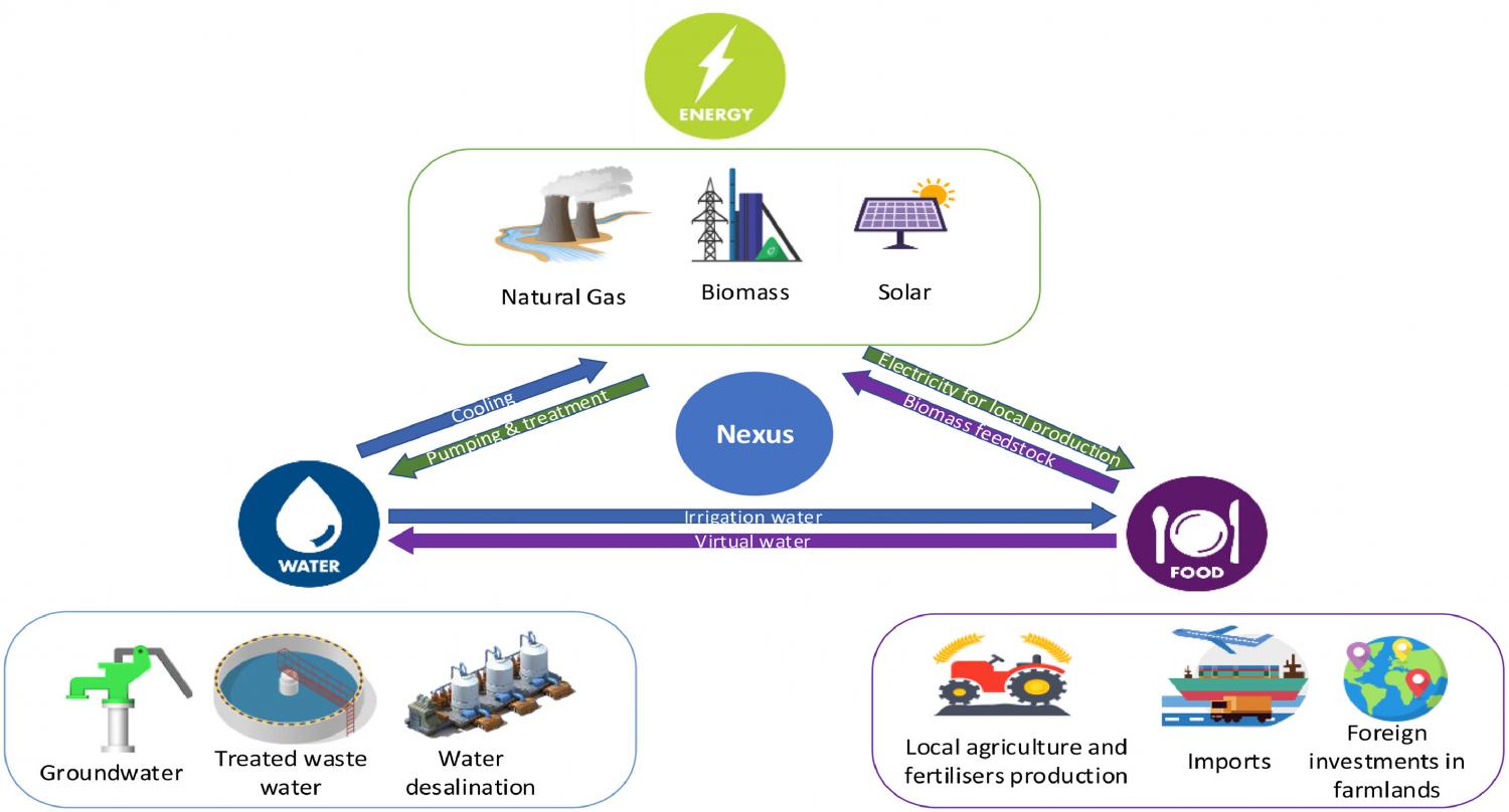 Qatar's current EWF nexus system.