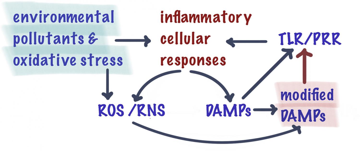Graphical abstract of article Graphical abstract of article