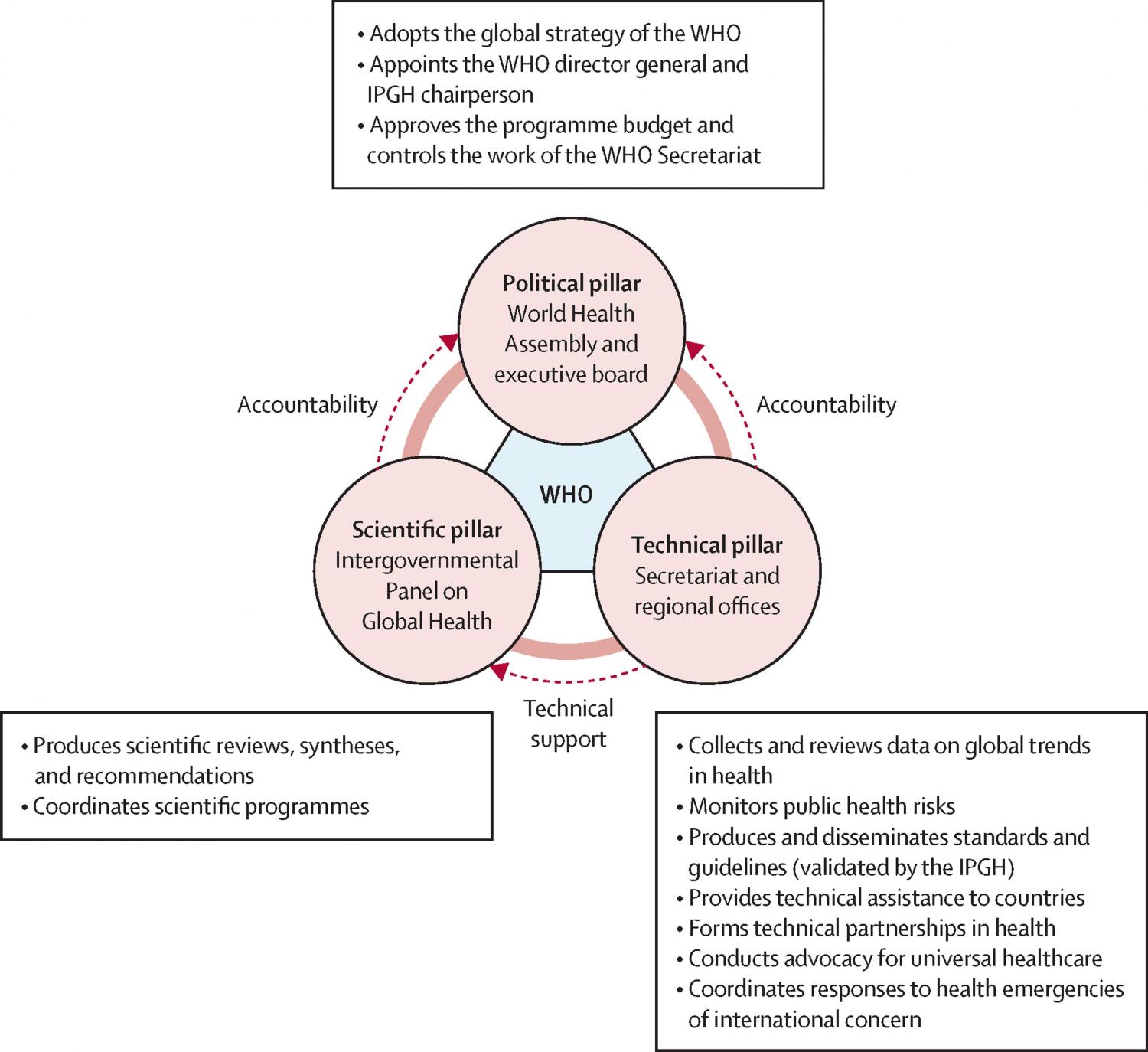 A tripolar architecture for WHO