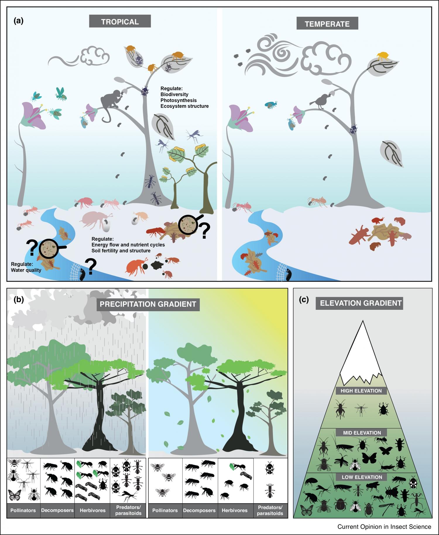 Ecosystem services provided by insects in natural systems.