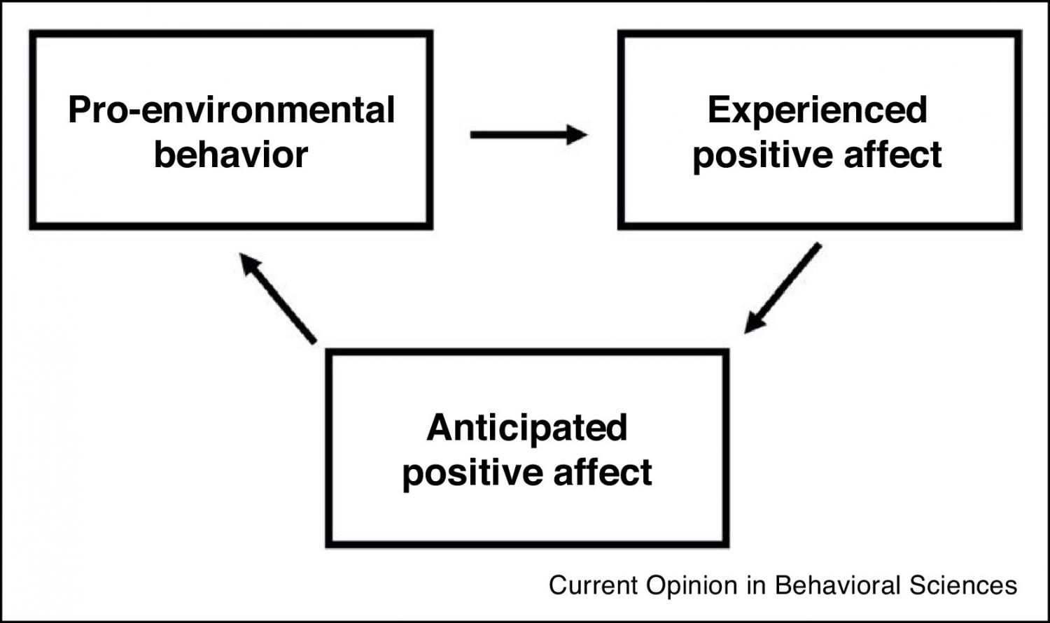 The ‘virtuous cycle’ of positive affect. Positive affect experienced after a pro-environmental behavior can motivate and drive future pro-environmental behavior via anticipated positive affect.