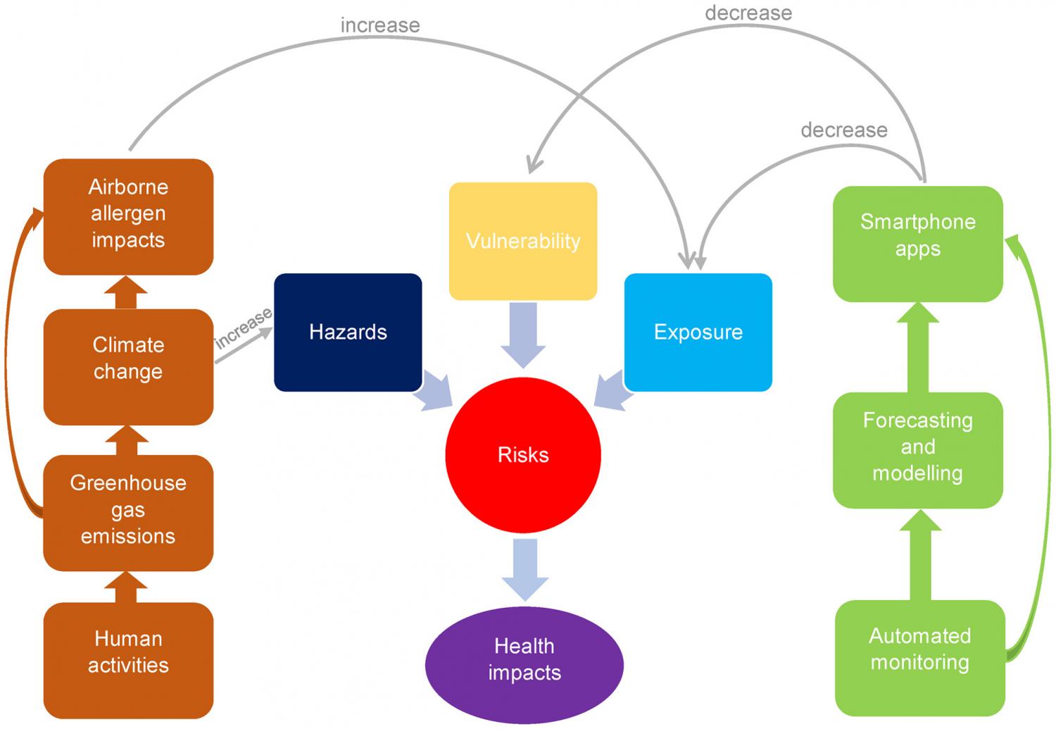 Diagram summarising the drivers and impacts of climate change on airborne allergens (brown) and the consequent impacts on human health. Central to this is the concept of risk, which is a function of hazards, vulnerability and exposure.