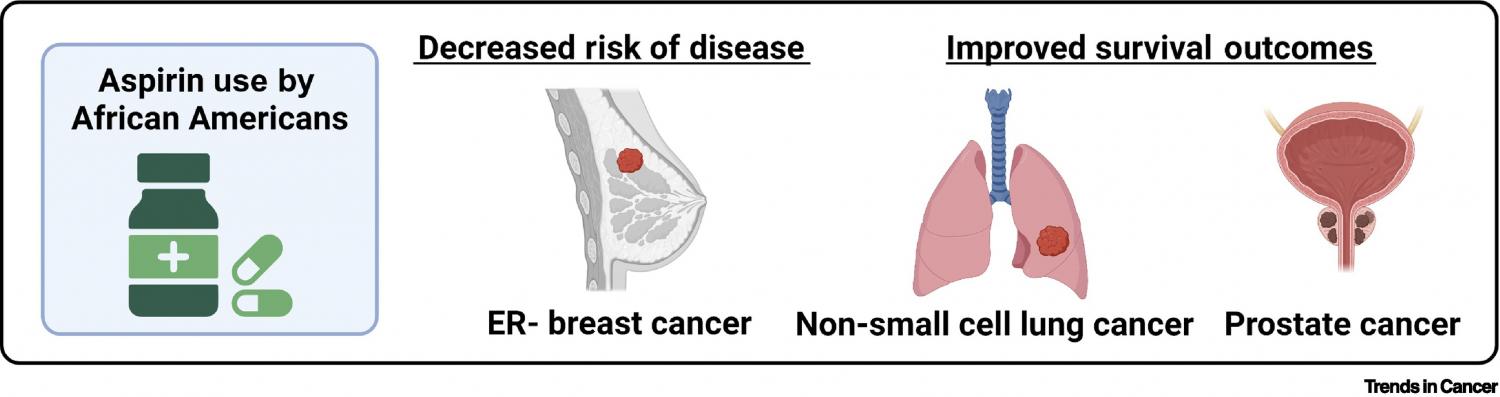 Aspirin may have a more robust benefit as a cancer prevention tool for African Americans (AAs) in certain cancer types.