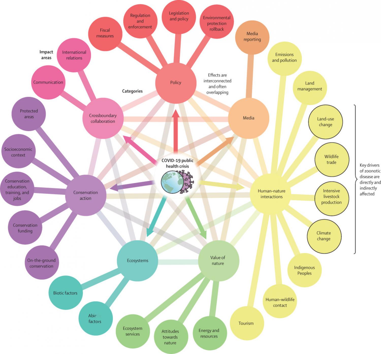 Effects of the COVID-19 public health crisis related to biodiversity loss and ecosystem health Effects of the COVID-19 public health crisis related to biodiversity loss and ecosystem health