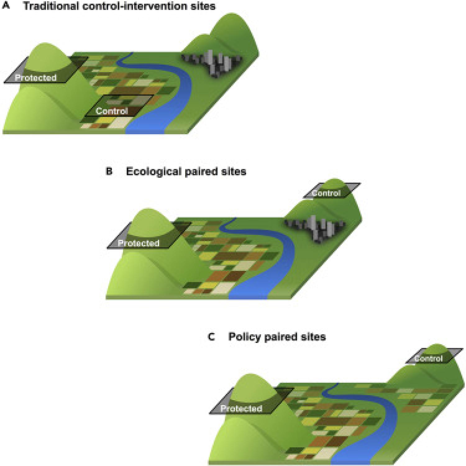 Comparison of a Traditional Control-Intervention Design with a Matched Ecological Design and Matched Policy Evaluation Design for Measuring the Impact of a Protected Area in Avoiding Clearing