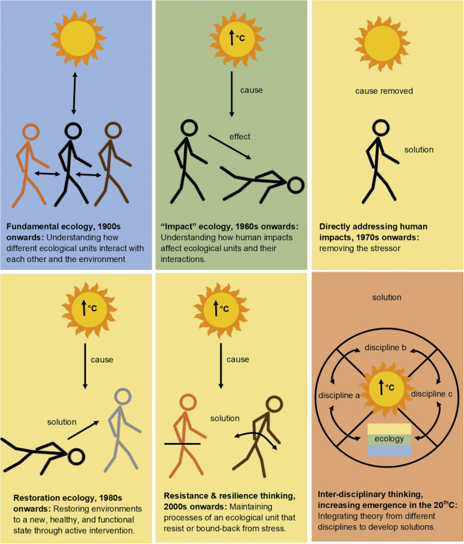 A Brief Evolution of Solution Science in Ecology
