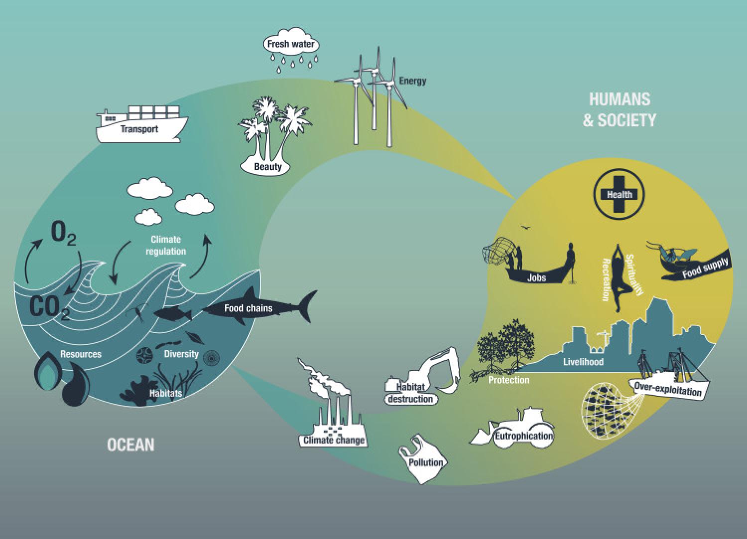 Interdependence Between the Ocean and Humankind